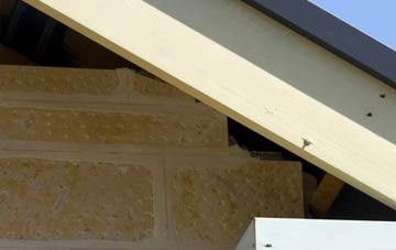 soffit repair Dolphingstone