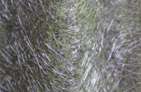 Dolphingstone fibreglass roof work